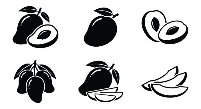 Black vector illustrations depict whole and sliced mangoes with leaves and pit