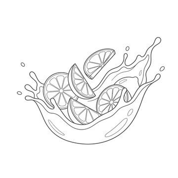 Fresh citrus lemon slices with dynamic juice splash line art vector illustration isolated on white background.