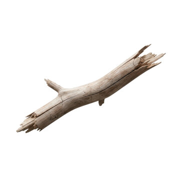 Weathered Driftwood Branch Piece for Nature Decoration