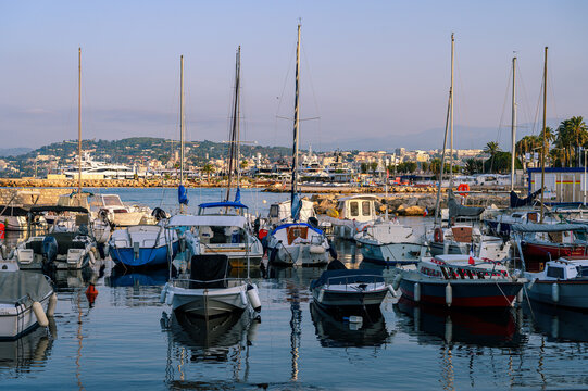 Cannes, France - August 03, 2026: Numerous boats and yachts are moored in a bustling marina with a city and hills in the background