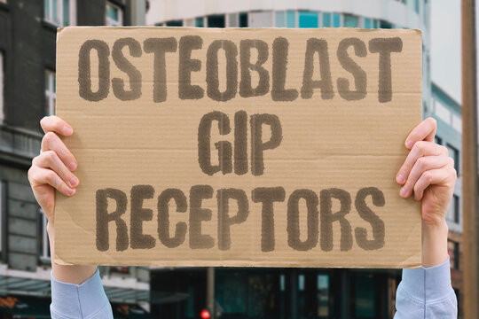 "Osteoblast GIP receptors" GIP receptors expressed on bone cells. OSTEOBLAST. OSTEOCLAST. RECEPTOR. GIP. BONE.