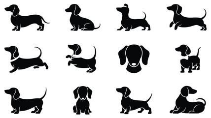 Obraz premium Set of black silhouette icons of dachshund dogs in various poses including sitting, standing, running, and jumping on a white background