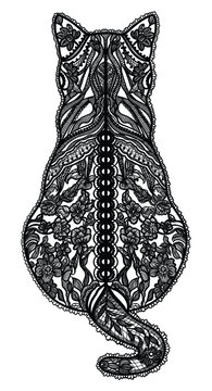 Lace cat