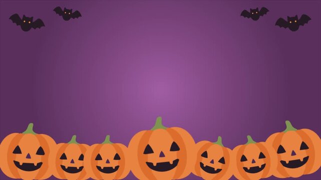 cute halloween pumpkin animation with bats on purple  background, halloween background