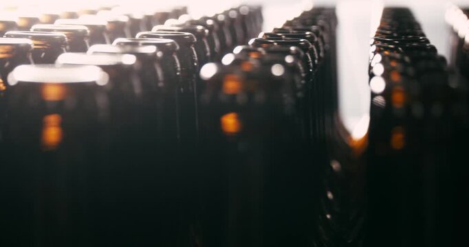 Unfilled beer bottles arranged in brewery camera circling around view