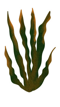 Bunga 3.png