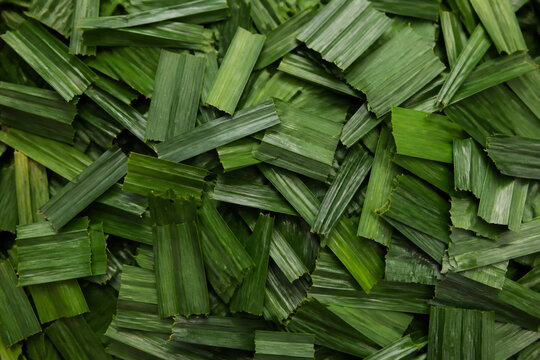 Fresh Pandan Leaves Dense Tropical Green Food Texture