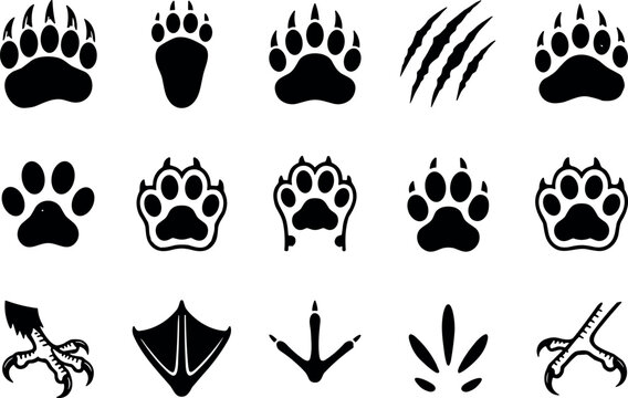 Animal paw prints beast scratch marks bird claws vector silhouettes.Animal paw prints beast scratch marks bird claws vector silhouettes.