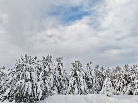 Snow covers trees in a winter landscape with clouds and blue sky in the background near a quiet outdoor area