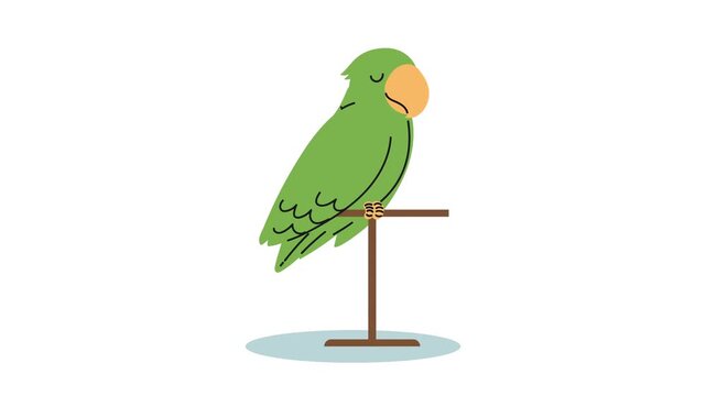A green parrot perching on a stand in a clean white studio with minimal blue circle on the ground animation.