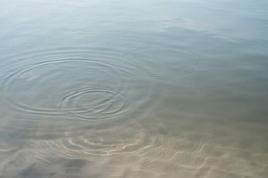 Ripples in Calm Water