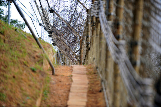 The barbed wire fence in the Korean Demilitarized Zone