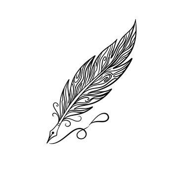 Ornate Feather Pen Line Art Illustration Isolated on White Background