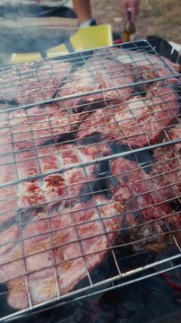 Grilled meat on a barbecue grill with smoke rising, showcasing various cuts of pork and beef sizzling over hot coals in an outdoor cooking setting