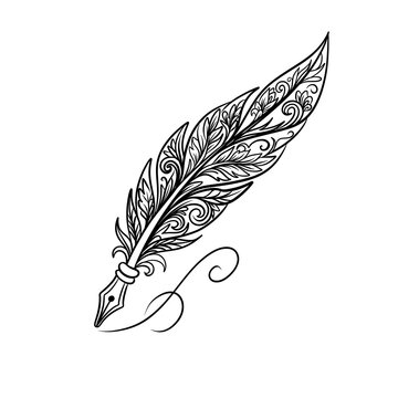 Ornate Feather Pen Line Art Illustration Isolated on White Background