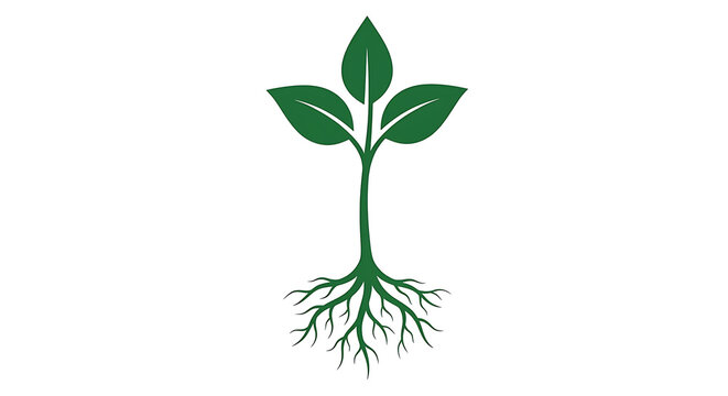 Minimalist flat vector icon of a small green plant sprout with three leaves and a clear root system.