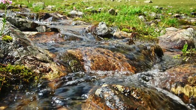 Clear water flowing over rocks in a shallow stream