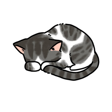 Cute grey tabby cat sleeping curled up, hand drawn illustration
