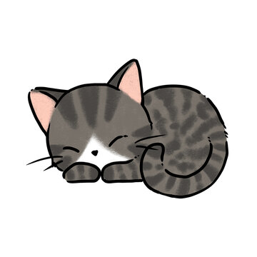 Cute grey tabby cat sleeping peacefully, hand drawn illustration