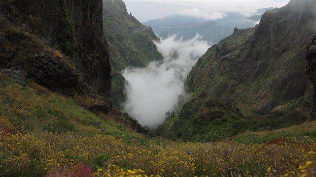 Stunning scenic view of misty mountain valley in Madeira with yellow wildflowers blooming on slopes under a dramatic overcast sky in peaceful nature. 4K video.