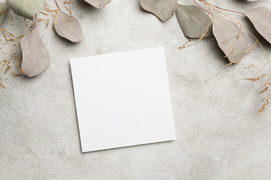 Blank square card placed on a textured gray surface surrounded by dried eucalyptus leaves and grass, creating a minimalist and natural composition for design purposes