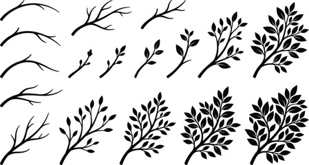Obraz premium Set of black botanical vector illustrations of various plant branches and leaves