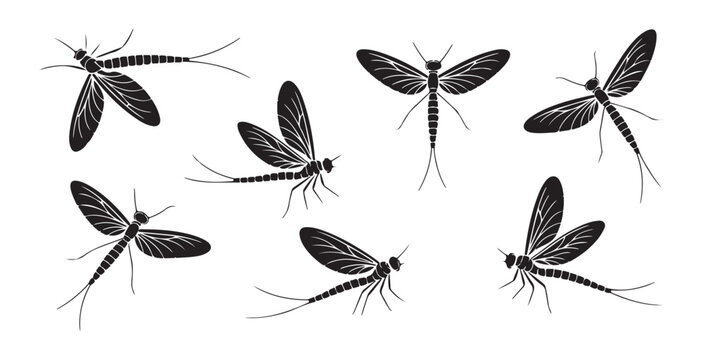 Black mayfly silhouettes in various flying positions representing freshwater river insect ecology.