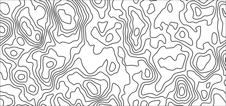 Abstract White Topographic Contour Background with Organic Black Elevation Lines. Abstract Terrain Contour Line Background with Organic Geometric Shapes.	