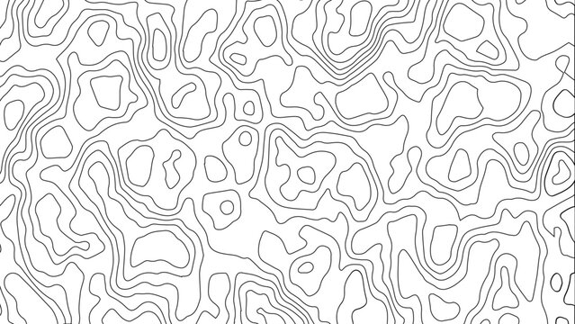 Abstract White Topographic Contour Background with Organic Black Elevation Lines. Abstract Terrain Contour Line Background with Organic Geometric Shapes.	