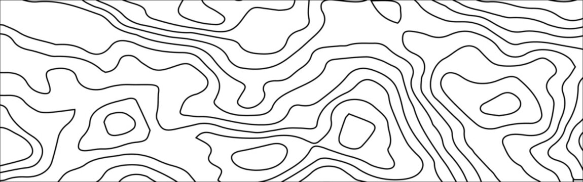Abstract White Topographic Contour Background with Organic Black Elevation Lines. Abstract Terrain Contour Line Background with Organic Geometric Shapes.	