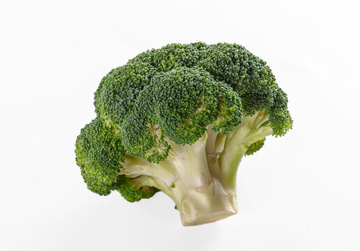 Fresh broccoli head on white background with vibrant green florets and pale stalk