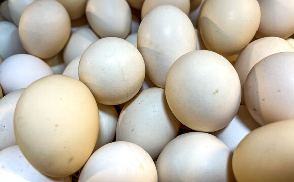 Free range chicken eggs displayed for sale at a traditional market, valued for their nutritional content and distinctive quality, and generally sold at a higher price than regular eggs.