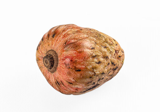 Ripe anona fruit with textured skin on white background