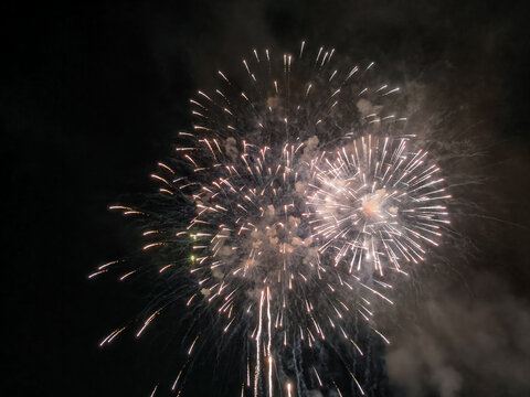 Fuegos artificiales dorados y destellos que iluminan el cielo nocturno en una espectacular exhibici&oacute;n pirot&eacute;cnica de celebraci&oacute;n.