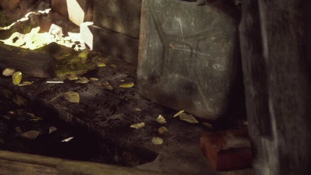 Leaves scatter on a wooden surface where a container sits. Sunlight filters through nearby branches, creating shadows and highlights. This scene shows a rural setting with natures touch.