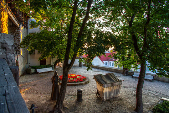 Early morning view of a quiet, empty square with a flower bed, a park bench, a spreading tree, and the Monk statue near the Danish King's Garden in the old town of Tallinn, Estonia.