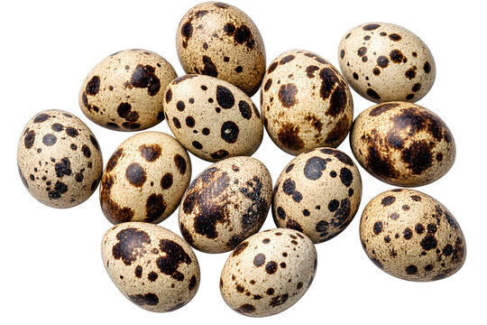 Group of small raw quail eggs with brown spots isolated on a clean white background