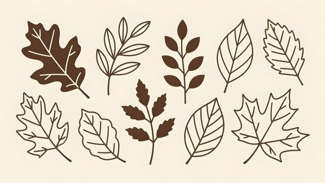 Vintage autumn leaf illustrations, brown line art foliage set, rustic botanical sketches for fall decor and seasonal branding