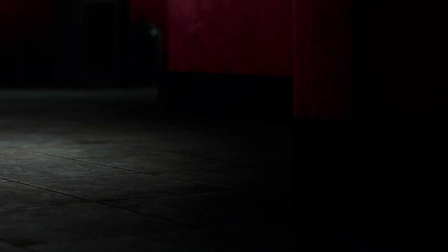A corner of a room shows shadows playing on a tiled floor. Red walls fill the space with color. A soft, warm light comes from a source out of view. The room feels quiet and still.
