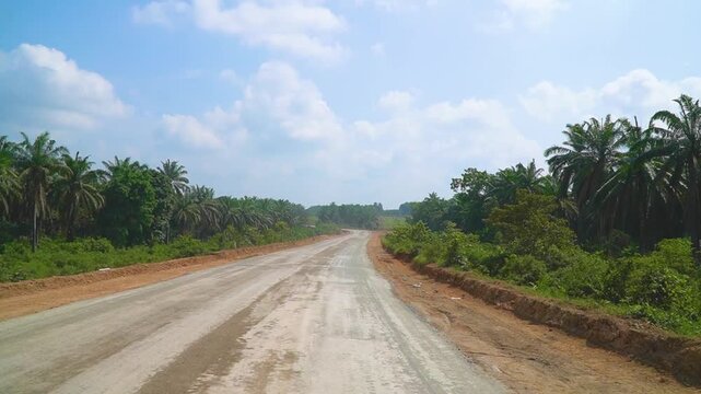 Unpaved Rural Road Passing Through Tropical Oil Palm sawit Plantation Under Sunny Blue Sky Agricultural Infrastructure Transportation Route Access Development Countryside Industrial Way Highway