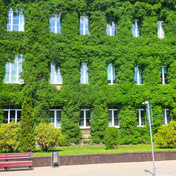 Multi-storey house facade completely covered with green plants, only windows visible through dense vegetation and on building walls.