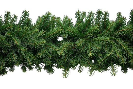 Dense horizontal evergreen fir garland border