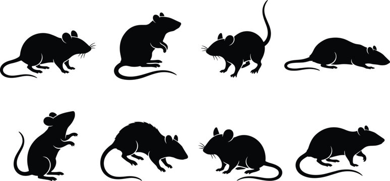 Black mouse and rat silhouettes set showing rodents in various standing crawling and walking poses isolated on clean white background