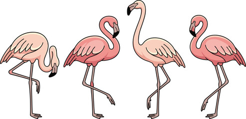 Obraz premium Cute cartoon pink flamingo birds collection standing on one leg in various graceful poses isolated on a clean white background