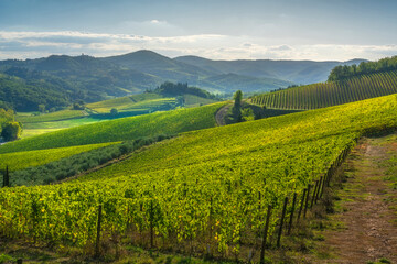 Naklejka premium Chianti Vineyards and Radda in Chianti Village View Tuscany