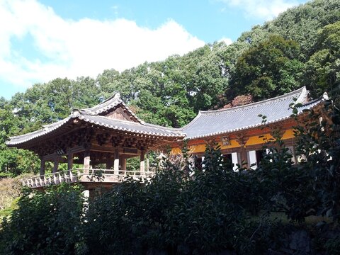 A scenic composition of a traditional two-story pavilion and main hall structures nestled among lush green trees at Yeongju Buseoksa Temple. Classic tiled roofs and wooden bracket structures under a b