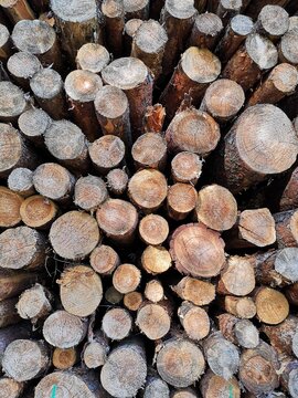 Holzstapel