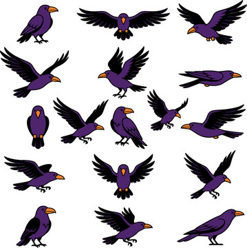 Collection of purple crows in various flight and standing poses isolated on white background