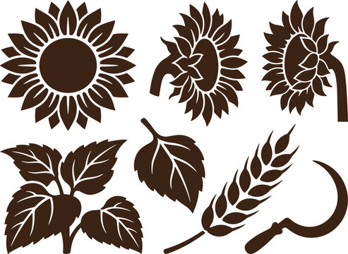 Dark brown silhouettes of sunflowers, wheat stalks, leaves, and a harvesting sickle isolated on a white background, for agricultural use