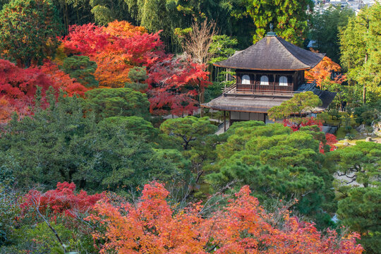 Top view of Silver Pavilion of Ginkakuji temple by autumn garden, Kyoto